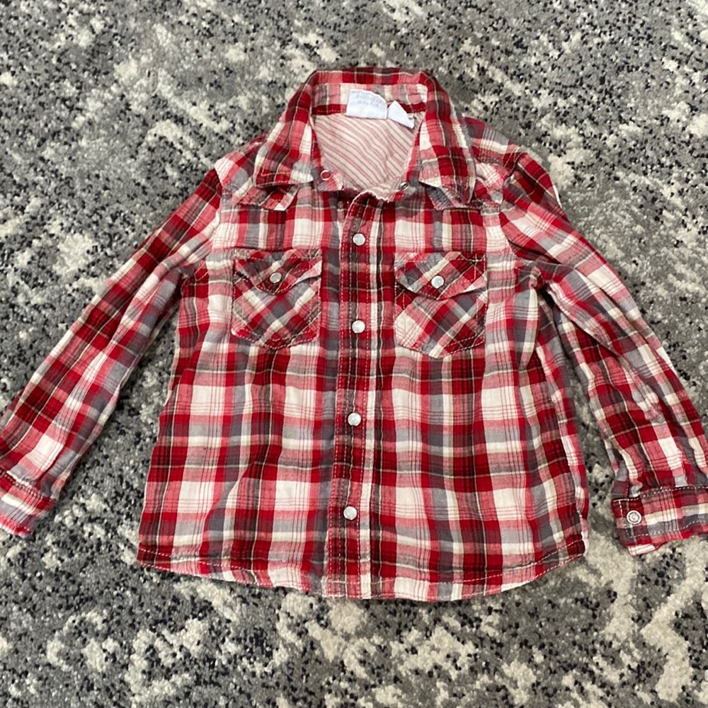 Koala baby snap up shirt